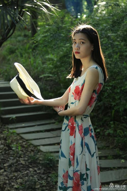 西施的宝藏免费应用展示